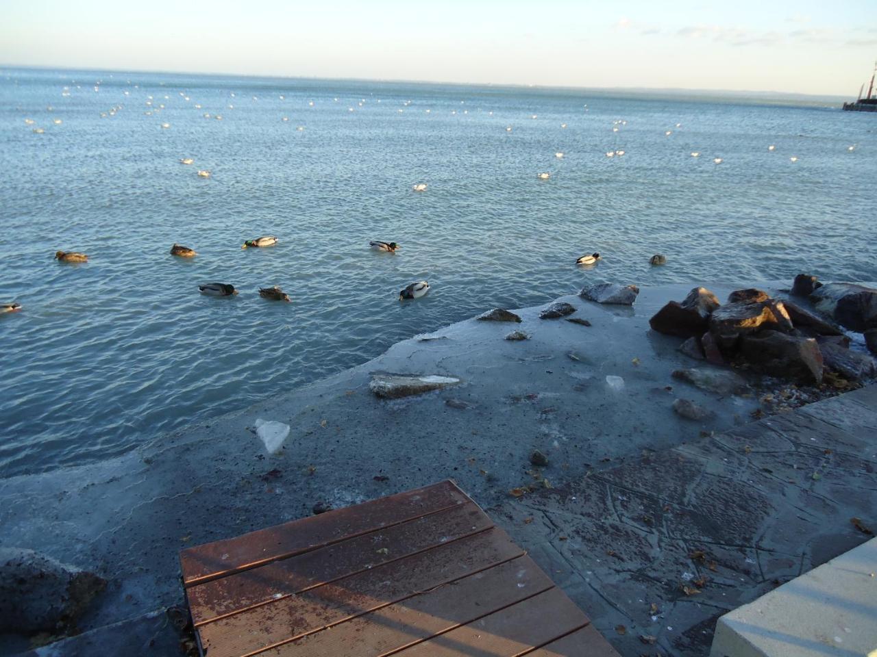 Kek Laguna Vendeghaz Balatonfüred Dış mekan fotoğraf