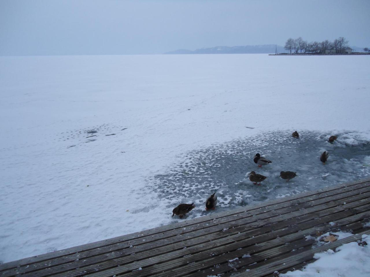 Kek Laguna Vendeghaz Balatonfüred Dış mekan fotoğraf